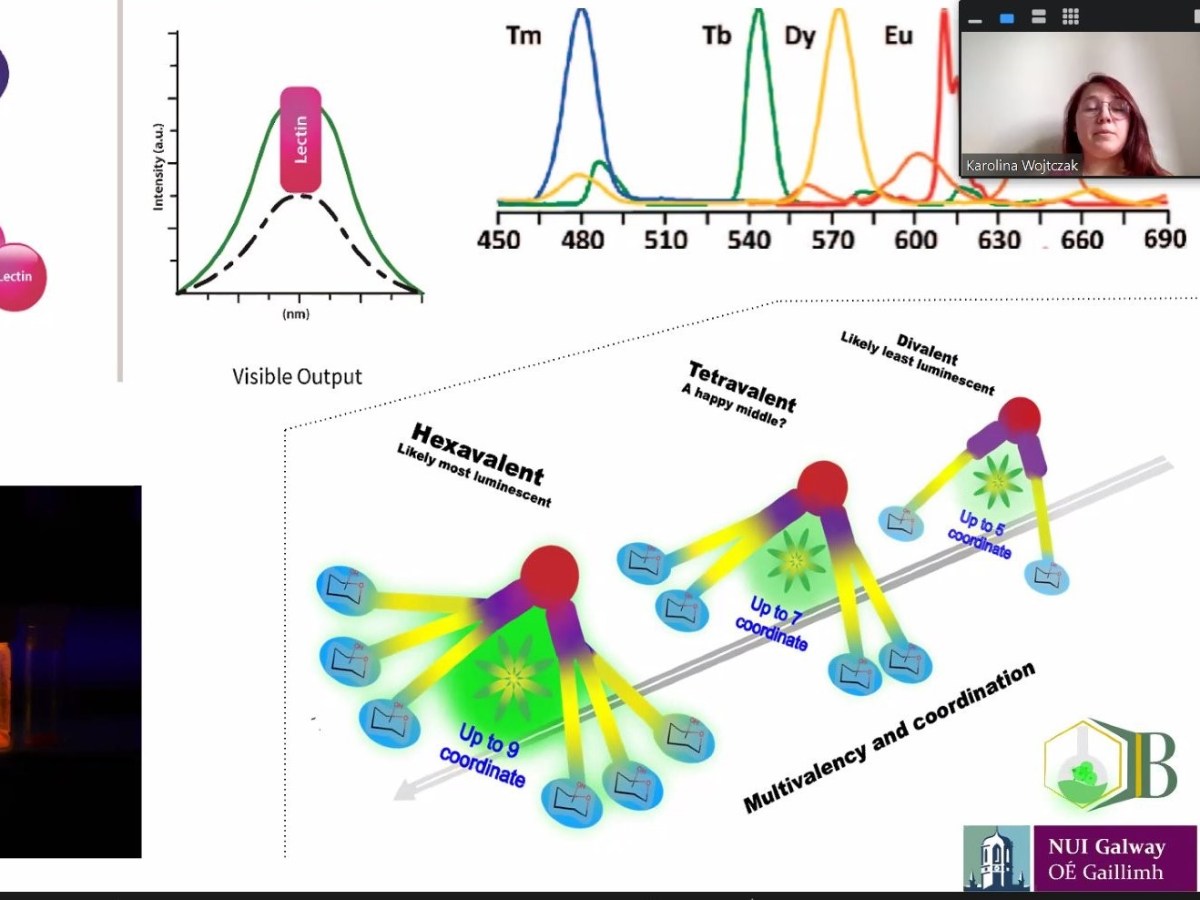 Karolina presents project at ICI Postgraduate Symposium