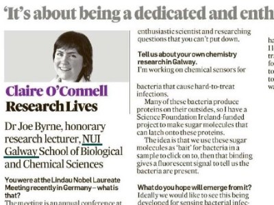 Joe interviewed in The Irish Times